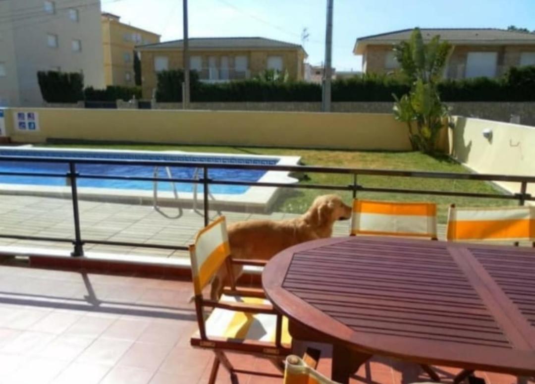 Apartamento Con Terraza Y Acceso Directo A La Piscina Y A 50 M De La Playa Miami Playa Luaran gambar